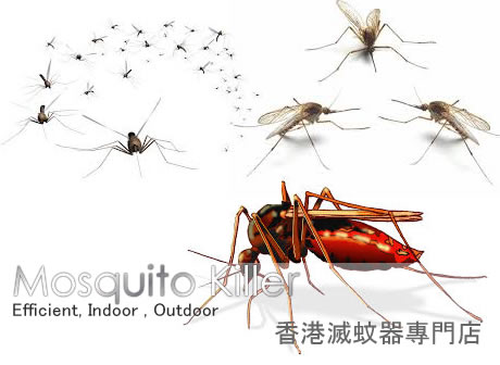 AMзABABXA, AM Mosquito Killer